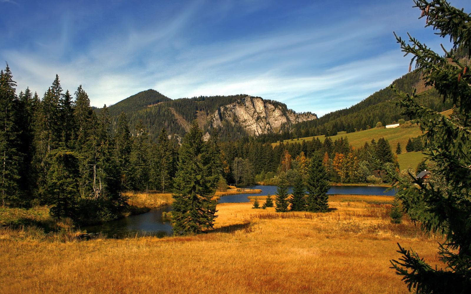 开云网站-球迷竞猜：下一场谁将成为得分王？，足球下一场