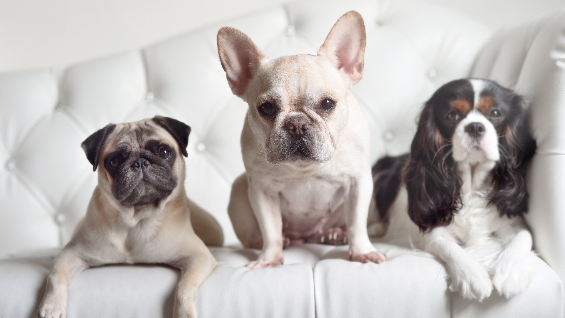 开云·Kaiyun网页版-球迷盛：线下观赛活动不停歇，线下观赛点