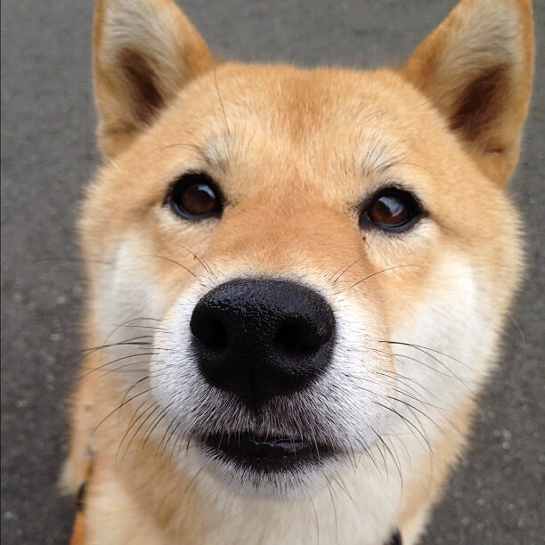 kaiyun官方入口登录-西班牙青少年骑手在美洲青少年马术锦标赛中表现出色，获得多项奖项。