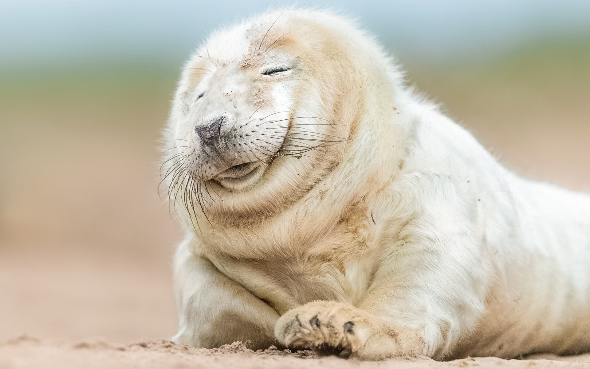 卡利亚里后防问题突出，防线稳固性受质疑，卡利亚里这个牌子质量如何