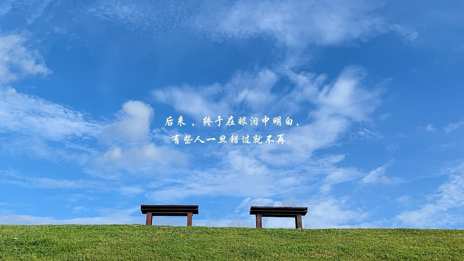 多特蒙德主场2-1逆转美因茨，艰难取胜，多特蒙德vs美因茨 直播