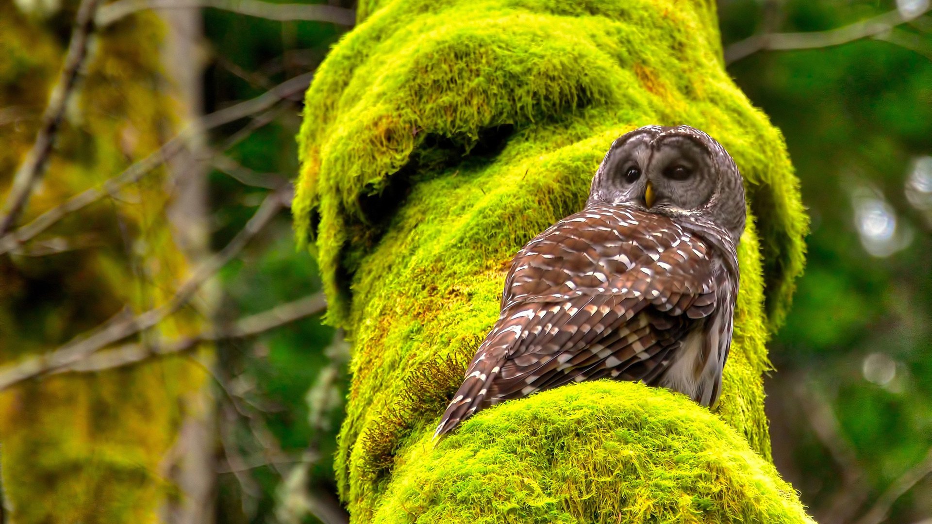 kaiyun开云·官方网站-太阳快船角逐，球场上风起云涌引人瞩目，太阳快船队