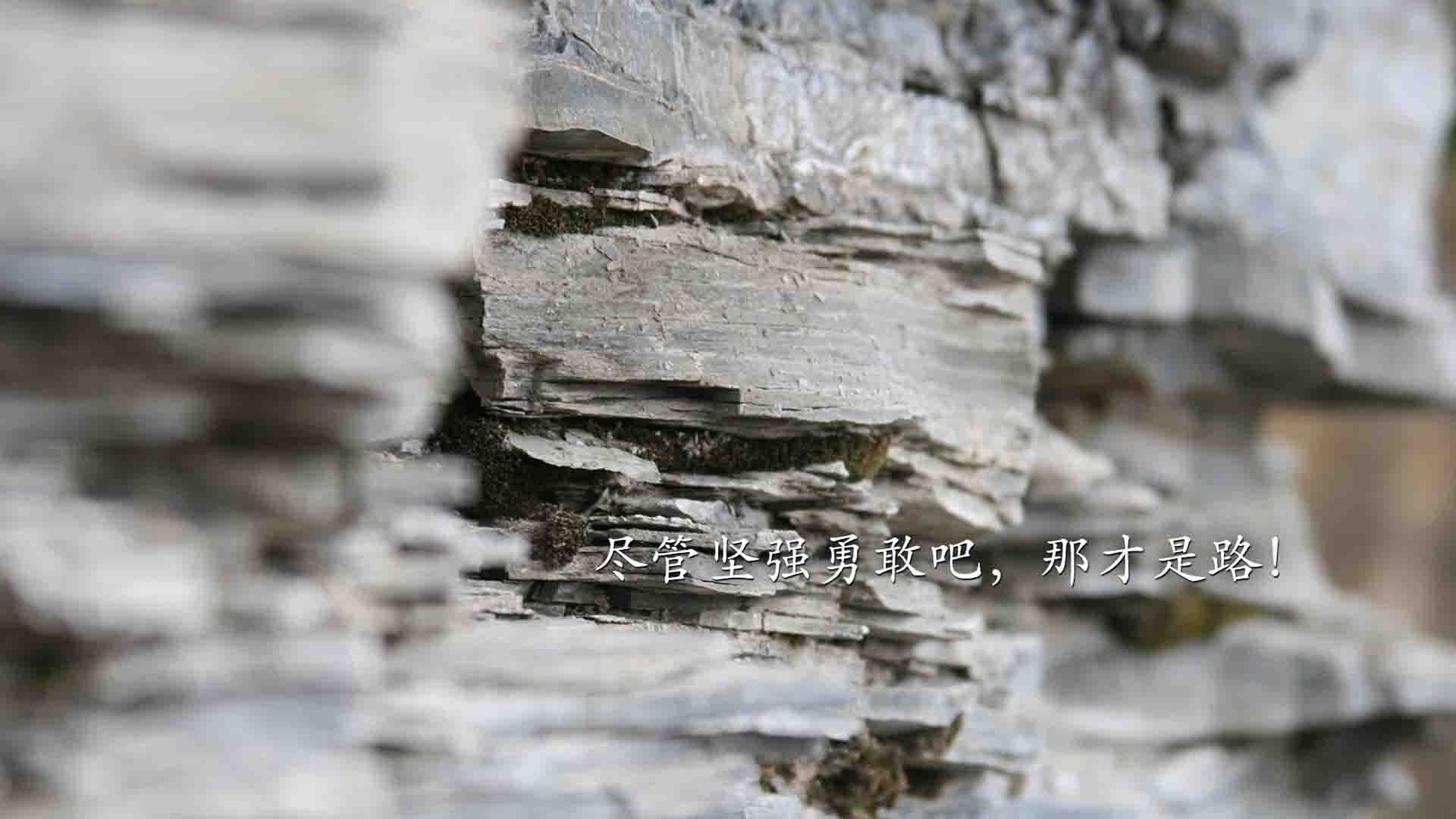 斯图加特与美因茨会师，保级之路一触即发，斯图加特vs美因茨比分