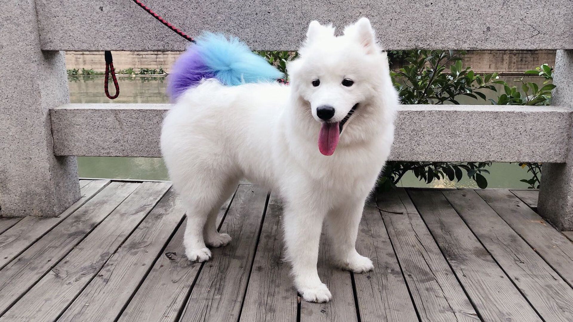 澳大利亚后卫全场最佳，哈萨克斯坦队挫败,实力悬殊的一场交锋将胜负揭晓在最后关头