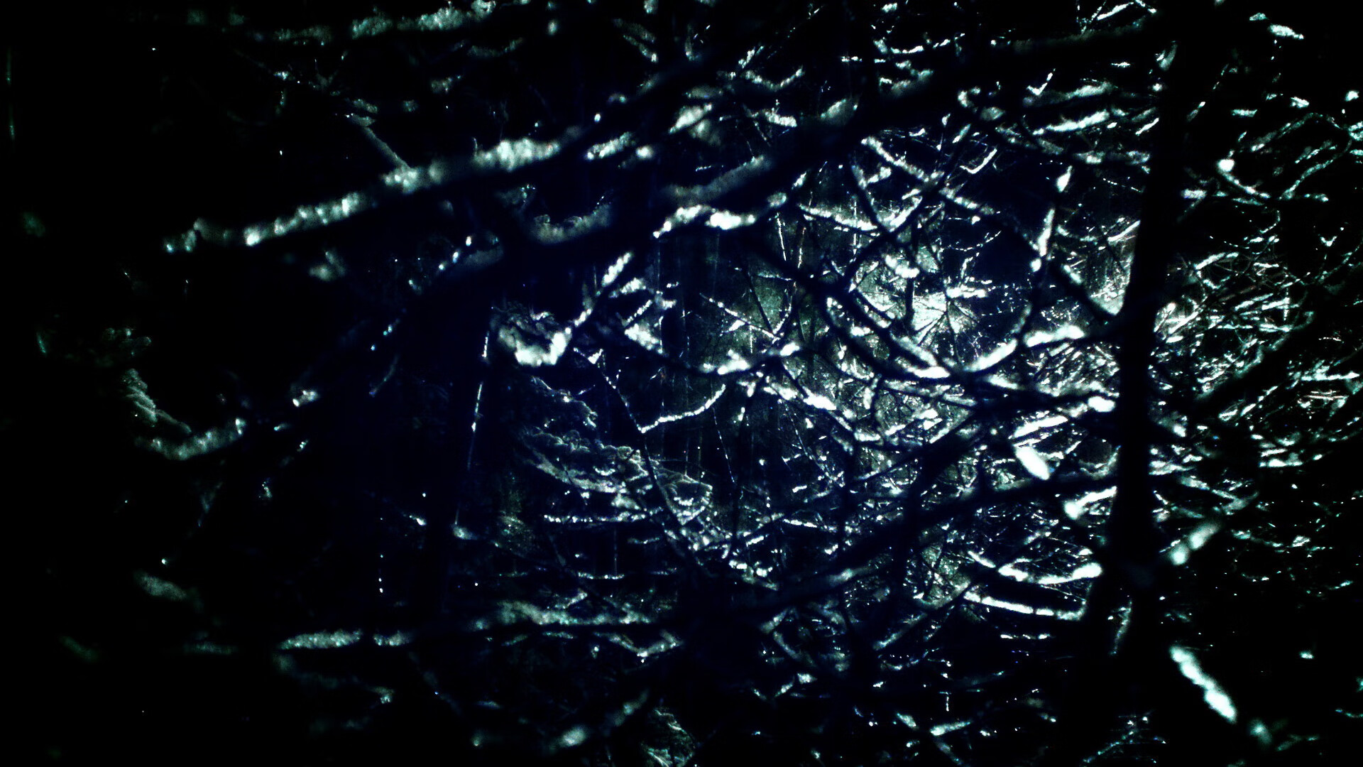 球迷热情是否会因成绩持续低迷而减退，对球迷的热爱说说