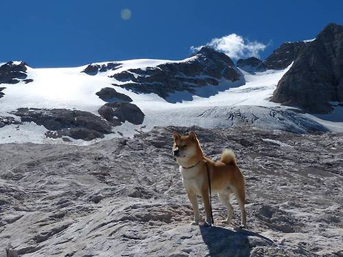 萨索洛新帅接手，球队展望面临挑战，萨索洛首发