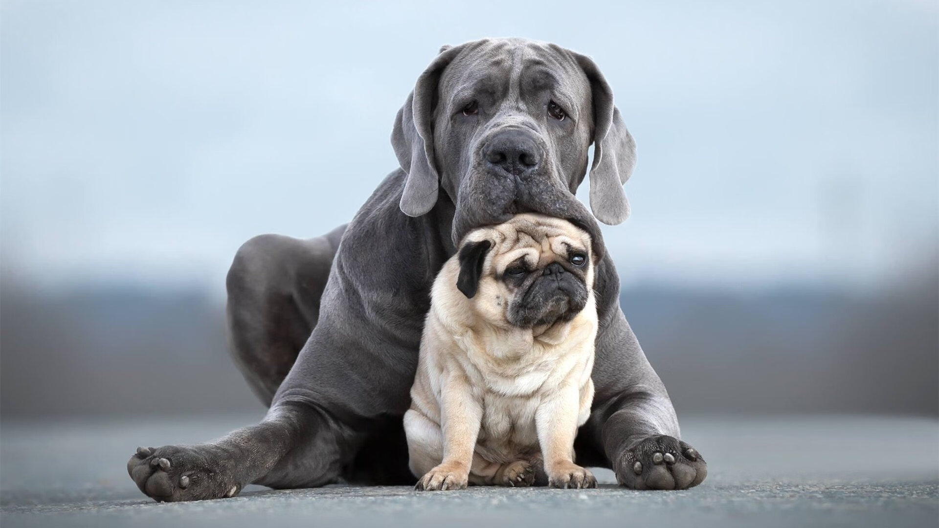 逆转奥运跆拳道赛最后1秒反击得分，奥运会跆拳道wtf