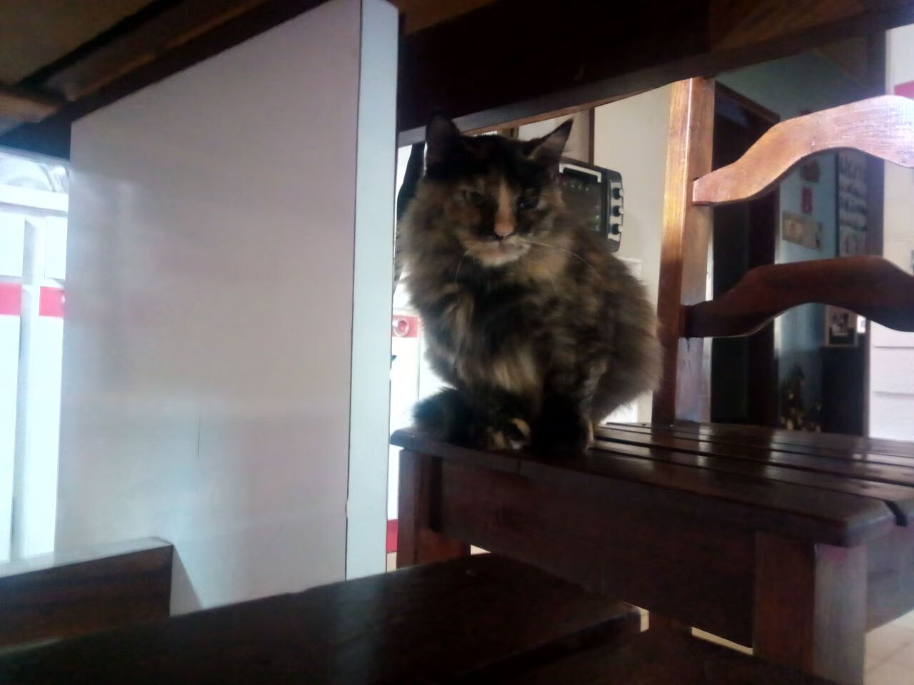 NBA球员心理健康辅导项目，篮球运动员心理素质