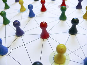 KAIYUNAPP-中国篮球教练员领导力培养路径，中国篮球协会篮球教练员等级