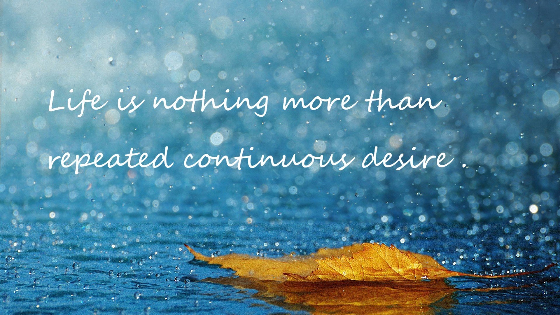 西甲球员疫情后体能恢复路径与数据支持,西甲重新开放球迷入场