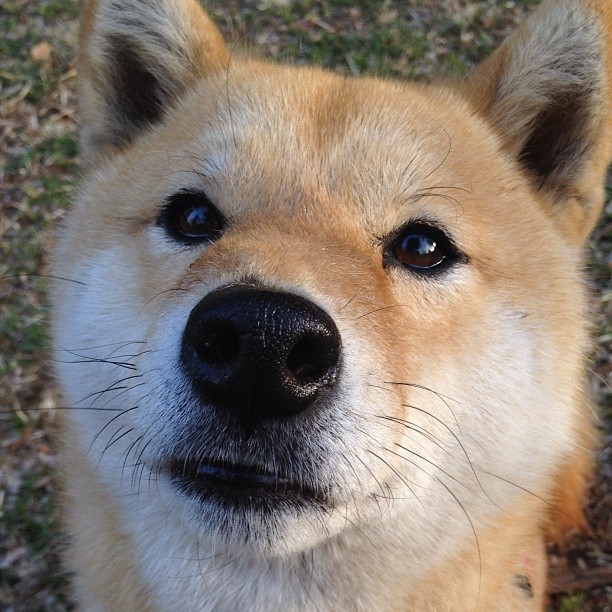 中国女篮重视比赛心理辅导提升抗压能力，中国女篮精神心得体会