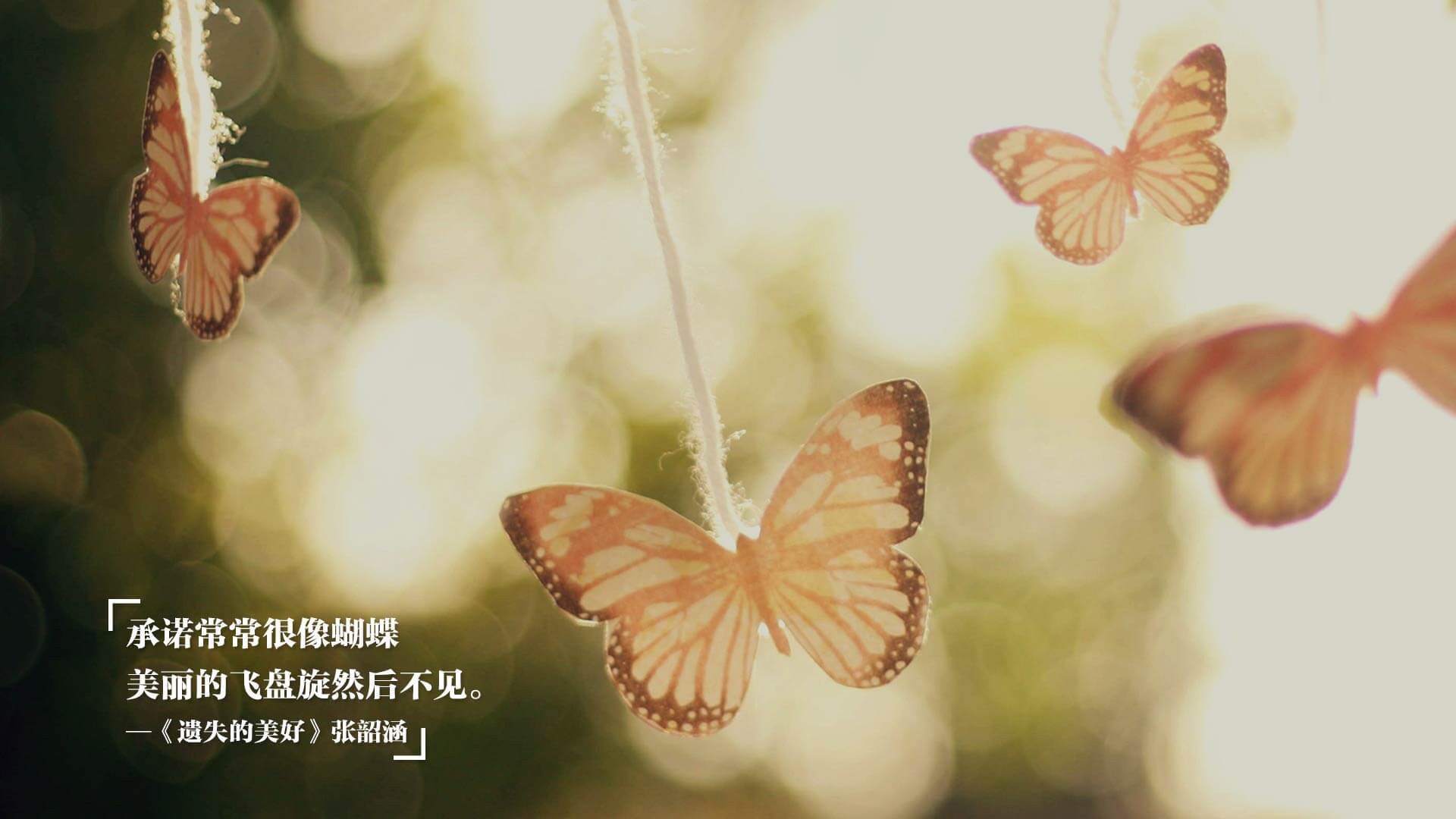 亚冠联赛中国足球逆袭 球员状态稳定,中国足球亚冠名额