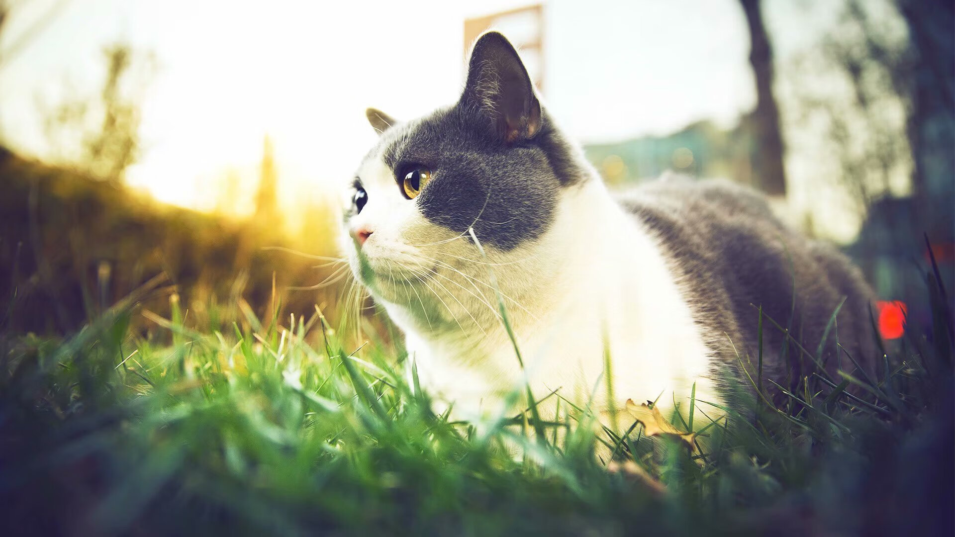 kaiyun体育app-曼城持续构建三线均衡战术体系，曼城3_2曼联