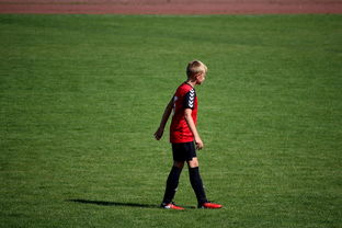 Kaiyun(中国)开云-中国足球职业俱乐部球员转会市场活跃度提升，中国足球协会球员身份与转会管理规定