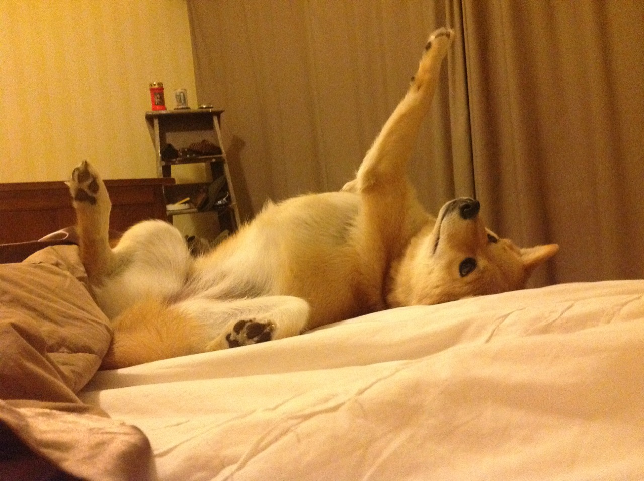 开云网页版-中小学篮球举办校际篮球邀请赛丰富课余生活，小学校园篮球联赛