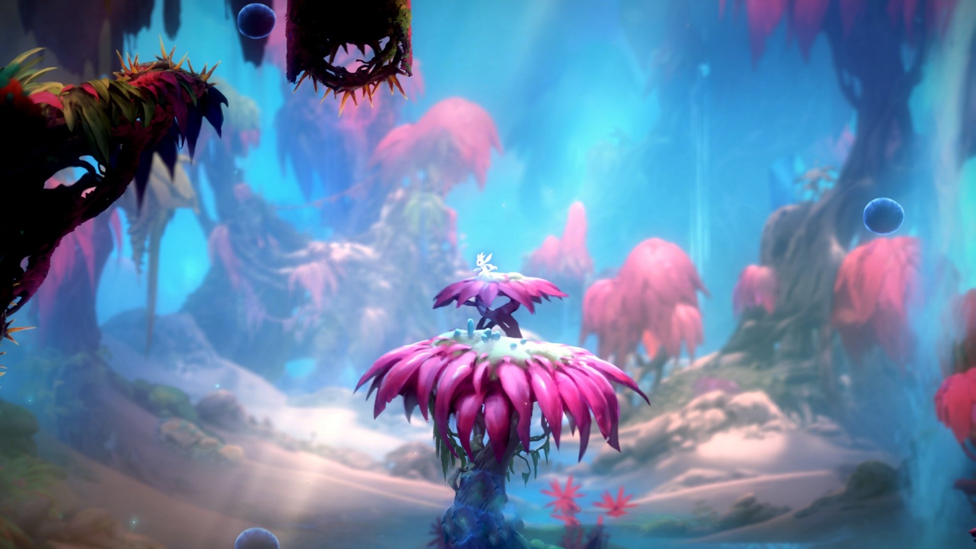 利物浦欧冠征途逐步展开，追逐欧洲荣耀