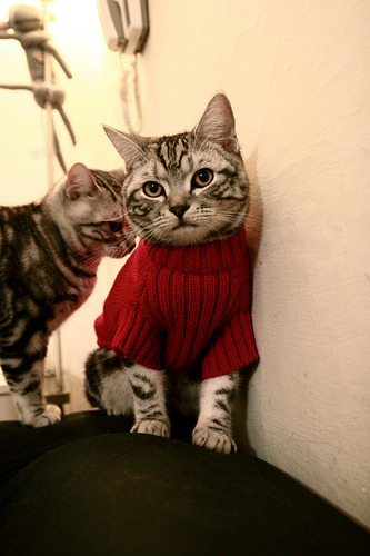 Kaiyun(中国)开云-巴黎圣日耳曼保持领先，法甲夺冠在望