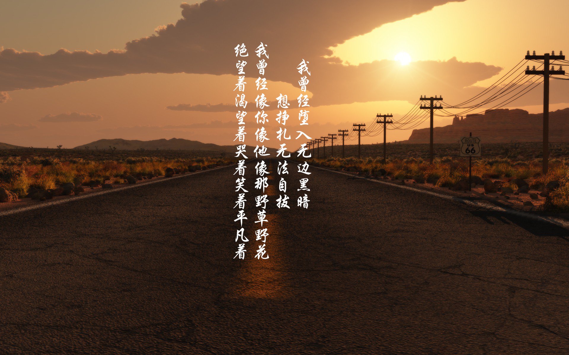 法甲新人崭露头角：未来巨星闪耀绿茵！，法甲队员