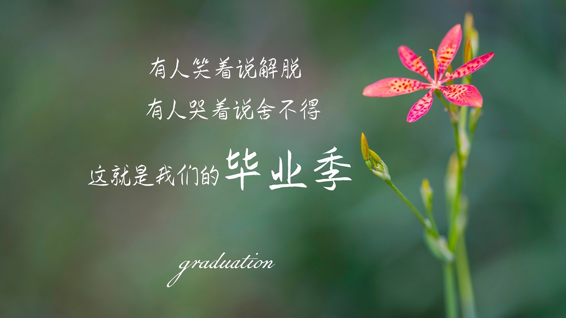 kaiyun官方入口登录-蛙泳划幅扩大，动作更流畅自然，蛙泳划手动作流程与技术要点