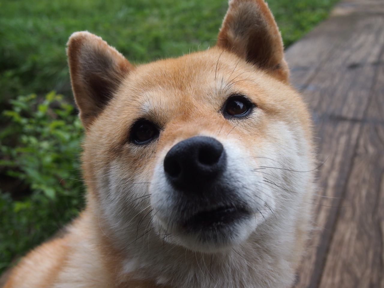 开云官方网站-西甲疯狂攻势：多点开花，精彩纷呈，西甲点数有什么用